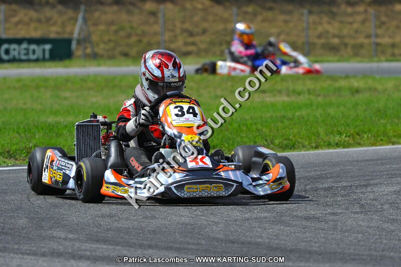 DSC_ (531).jpg